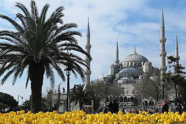 'İstanbul'un 10 bin camiye ihtiyacı var'