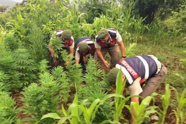 Antalya'da uyuşturucu sanığından şaka gibi ifade!
