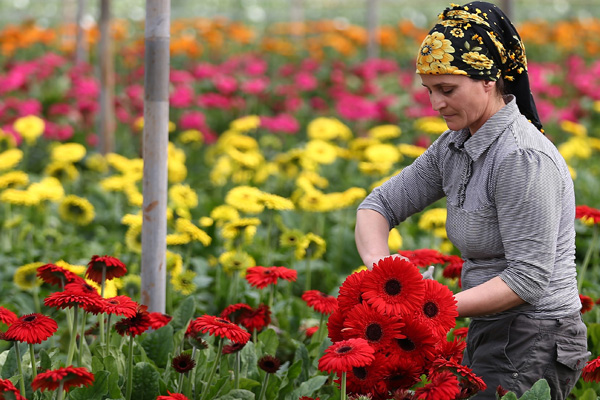Yılda 20 milyon Lira kazanç elde ediliyor