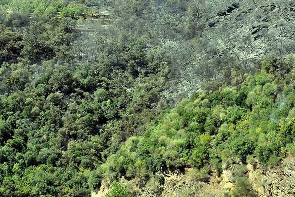 2B arazisi işlemlerinde başvuru süresi uzatıldı