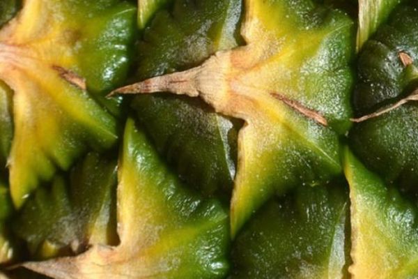 Kabuğuyla yerseniz kanserden koruyor!