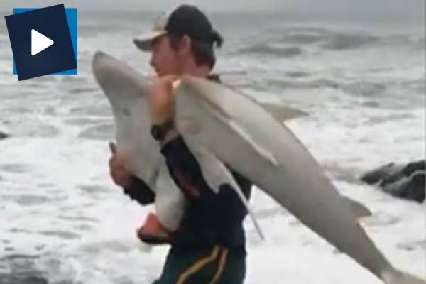 Vatoz ve köpek balığını elleriyle denize bıraktı