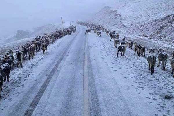 Meteoroloji'den kar uyarısı!