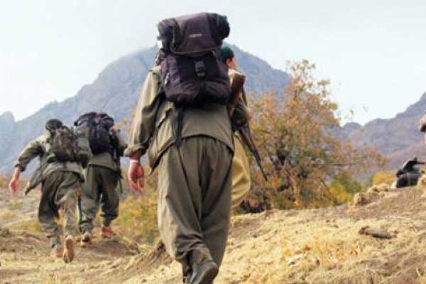 Bingöl'de bir terörist etkisiz hale getirildi