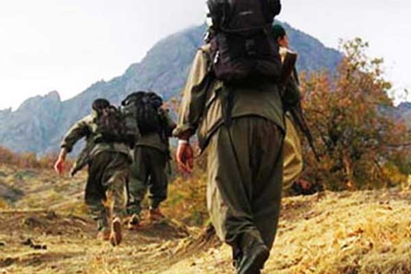 Erzincan'da 5 PKK'lı öldürüldü