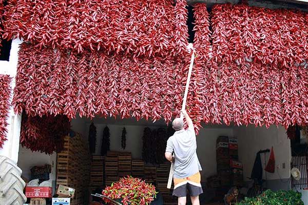 Sırbistan'ın 'biberci köyü' kırmızıya büründü
