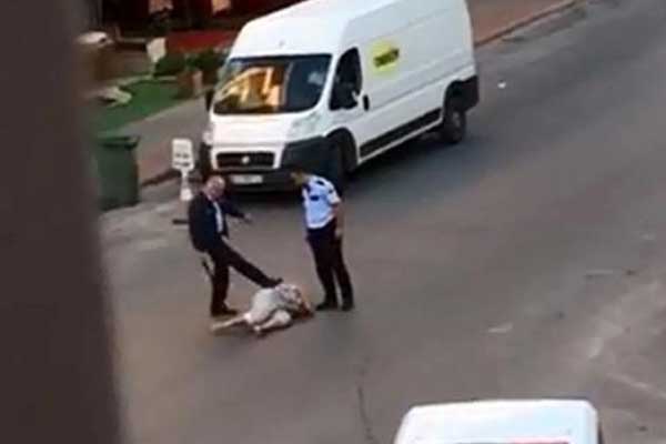 Antalya'daki kadına polis şiddeti için tutuklama kararı