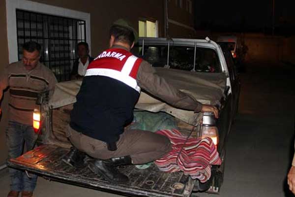 Bolu'da ayı saldırısı!