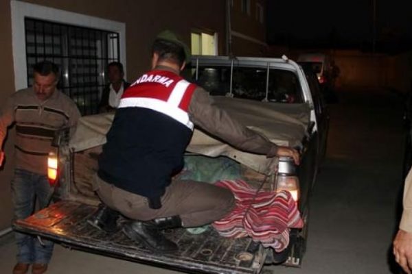 Bolu'da ayı saldırısına uğrayan kişi hayatını kaybetti