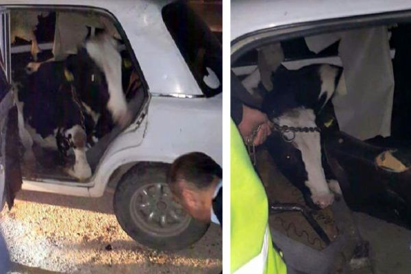 Antalya'da 'Dur' ihtarına uymadı! İçinden çıkan şoke etti