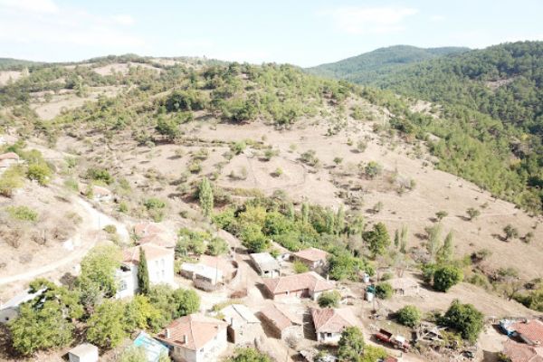 Tapu Çeşitlerinden Muhtar Tapusu