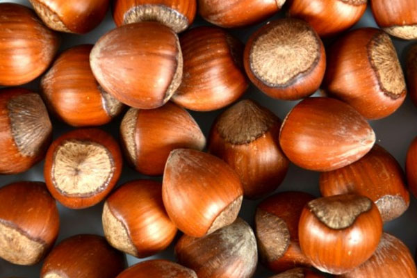 Giresun ve Alba kardeş şehir oldu