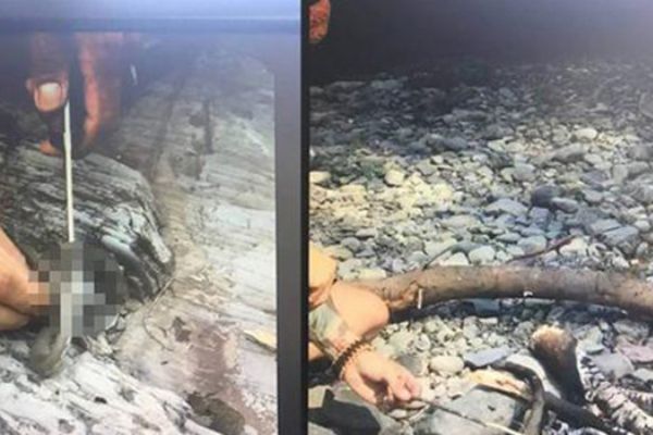 Kaçak avın fotoğrafını sosyal medyada paylaşınca ceza yedi