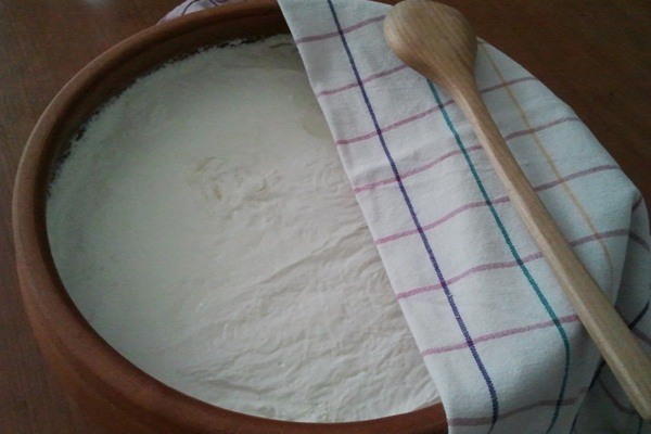 Yoğurt yoğurt ile yapılıyorsa ilk yoğurt nasıl yapıldı?