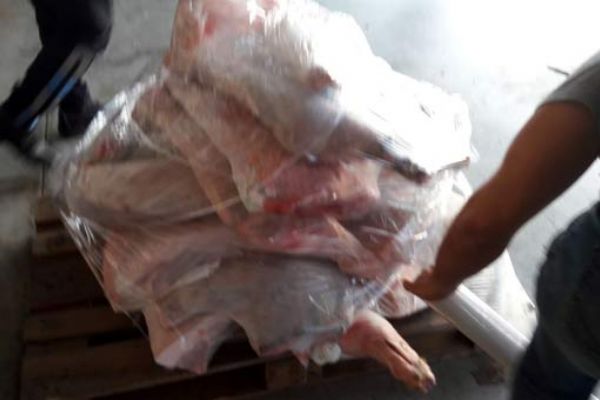 Antalya'da durdurulan minibüste 420 kilo domuz eti ele geçirildi