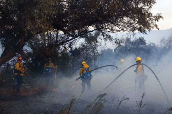 ABD'de orman yangınları: 10 kişi öldü