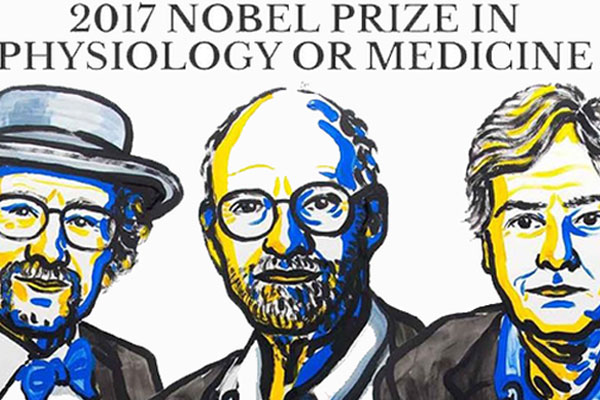 Nobel'li sağlıkçılardan beslenme önerileri