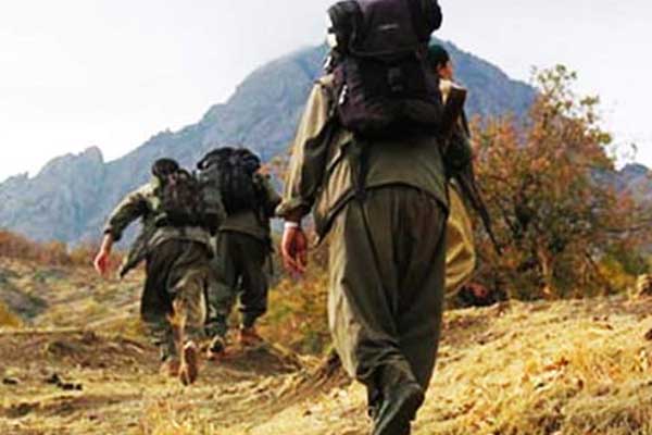 Şemdinli'deki 2 PKK'lı etkisiz hale getirildi