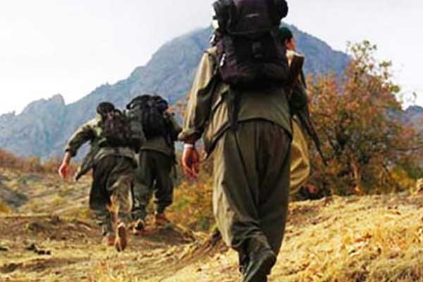 4 PKK'lı Yunanistan'a kaçarken yakalandı