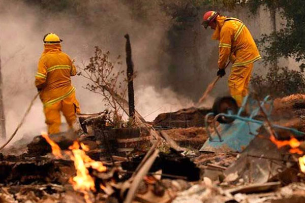 Kaliforniya'da yangın: 15 ölü