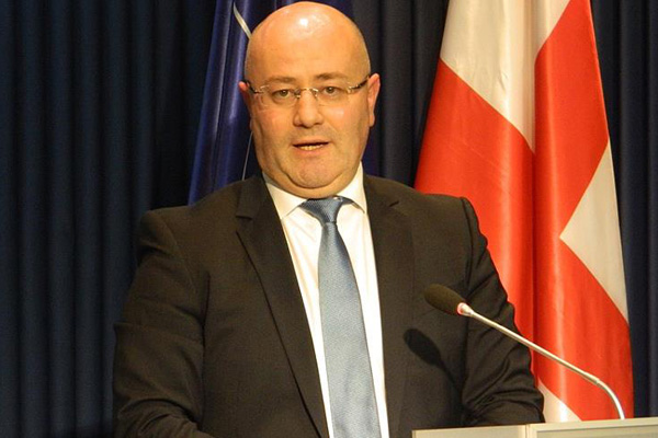 Gürcistan Savunma Bakanı'ndan Türkiye açıklaması