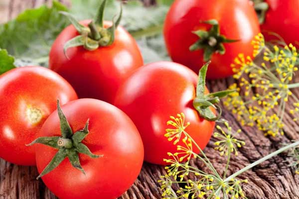 Rusya'dan domates açıklaması: Rus üreticilere zarar vermeden...