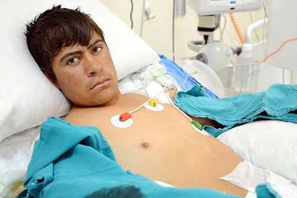 Kuşu kurtardı, elleri kesilecek...