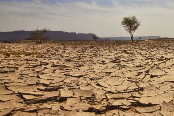 'Uluslarası Kuraklık İttifakı' kuruldu