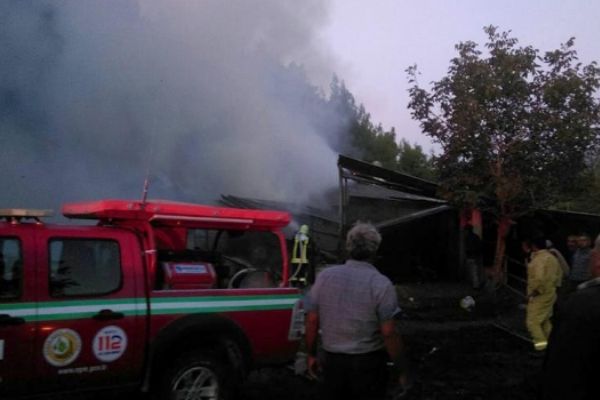 Denizli'de yanan ahırdaki 5 inek telef oldu