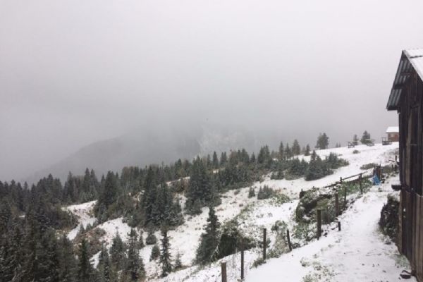 Rize'de sahilde şiddetli yağış, yaylalarda kar