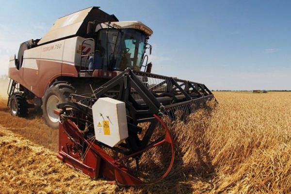 Ahmet Eşref Fakıbaba: Dünyanın tahıl ambarı Türkiye olacak