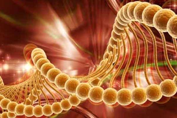 Kanser tanısında kullanılacak cip geliştirildi