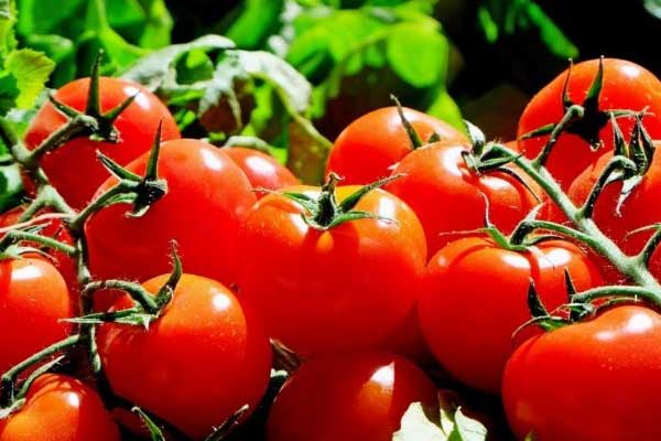 Rusya'dan Türkiye açıklaması!