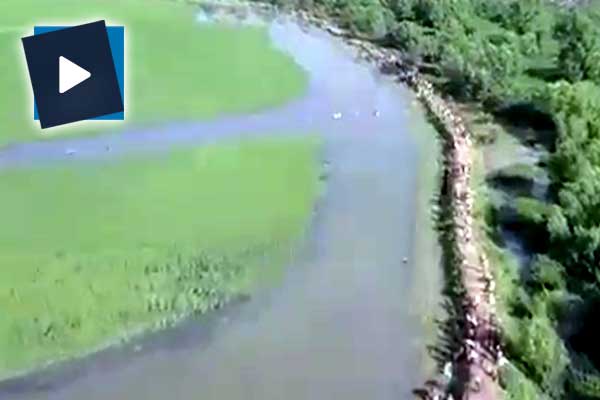 Arakanlıların çiçeli yolculuğu havadan görüntülendi