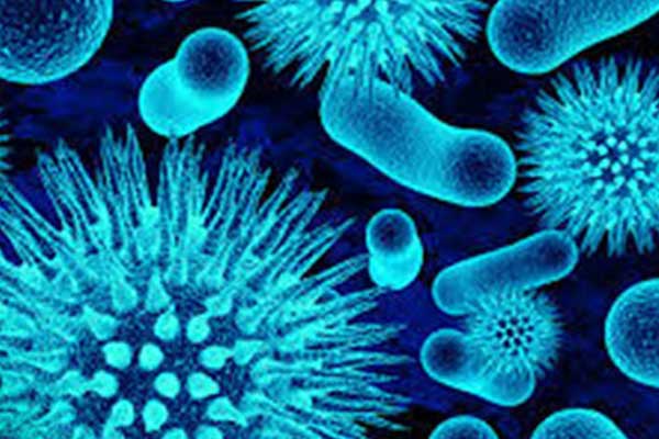 ABD'de Hepatit A salgınında ölenlerin sayısı artıyor