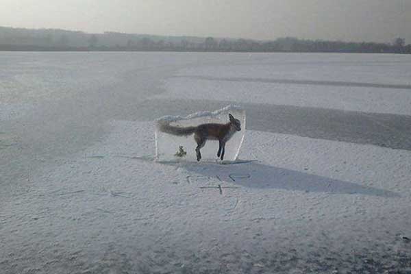 Kasırgadan sonra korkutan kareler