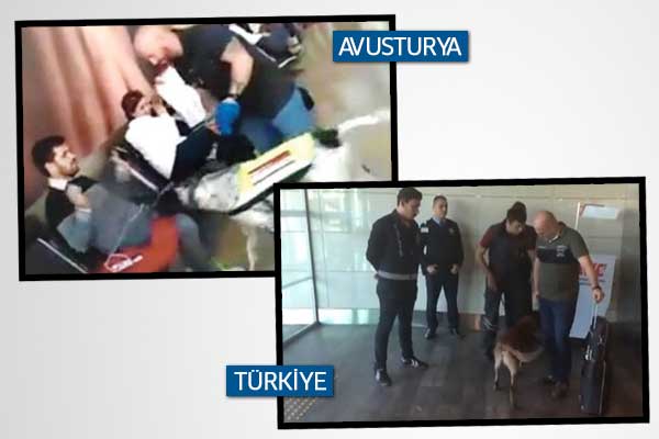 Türkiye'den Avusturya'ya 'köpek' misillemesi! Atatürk Havalimanı'nda o yolcular böyle arandı