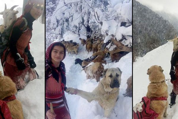 Erdoğan, Hamdu Sena Bilgin'i Ankara'ya davet etti