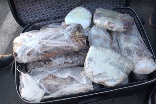 Adana'da otomobilin bagajında: Tam 35 kilo !