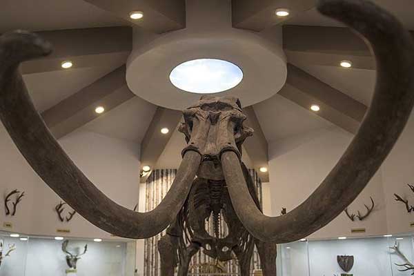 Gaziantep Zooloji ve Doğa Müzesine ilgi