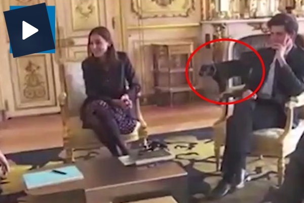 Macron'un köpeği bakanlar toplantısını kahkahaya boğdu