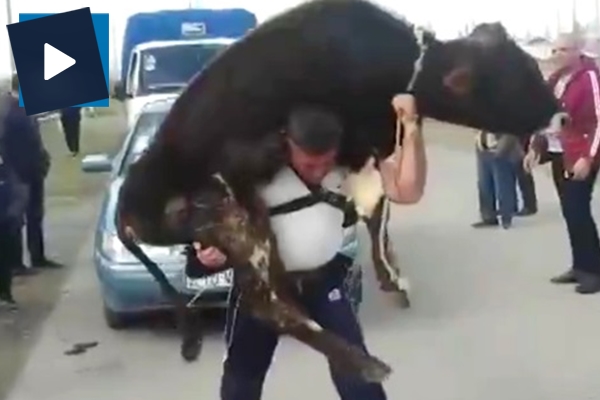 Azeri pehlivandan tuhaf güç gösterisi