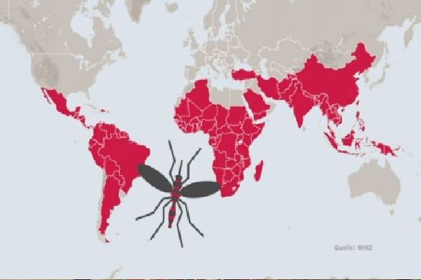 Brezilya'da 'sarı humma' alarmı