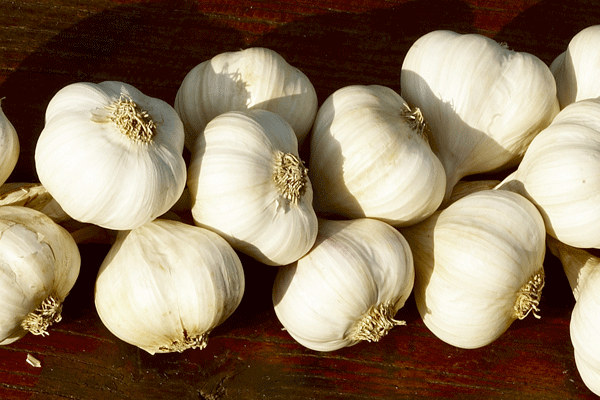 Günde bir sarımsak tüketmenin faydaları