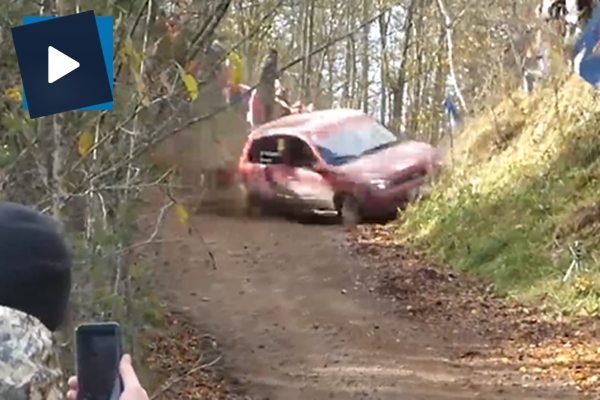 Rallici virajı alamayınca ağaçları böyle devirdi