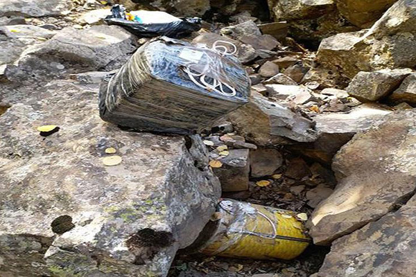 Muş'ta terör operasyonu