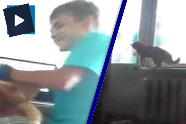 Kendisiyle dalga geçen genci pişman etti