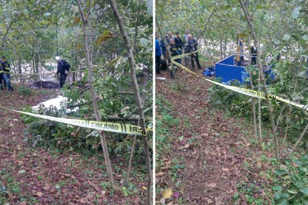 Ordu'da eşinin kestiği dalın altında can verdi