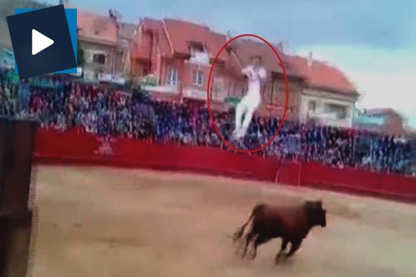 Boğayla şovun sonu bakın nasıl bitti!