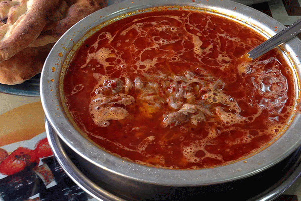 Gribin şifası: Beyran